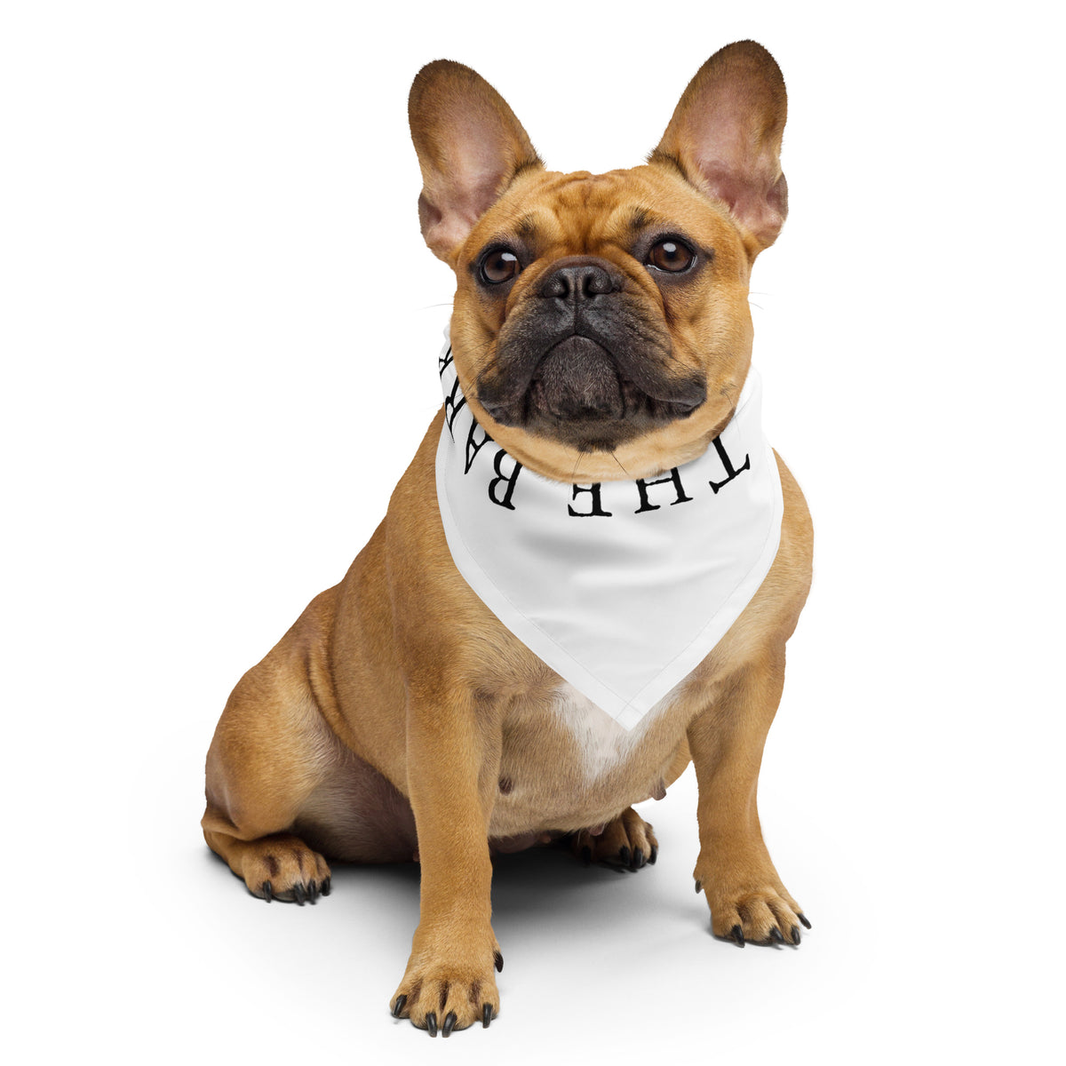 Bark Heard ‘Round the World Dog Bandana